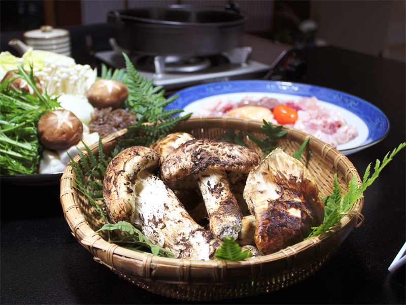 地元産の松茸！美山産地鶏✕松茸の豪華すき焼き