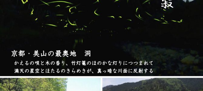 蛍を楽しむ夕べー見よ洞ぼたる 山里の美と静寂 蛍を楽しむ夕べー見よ洞ぼたる 山里の美と静寂
