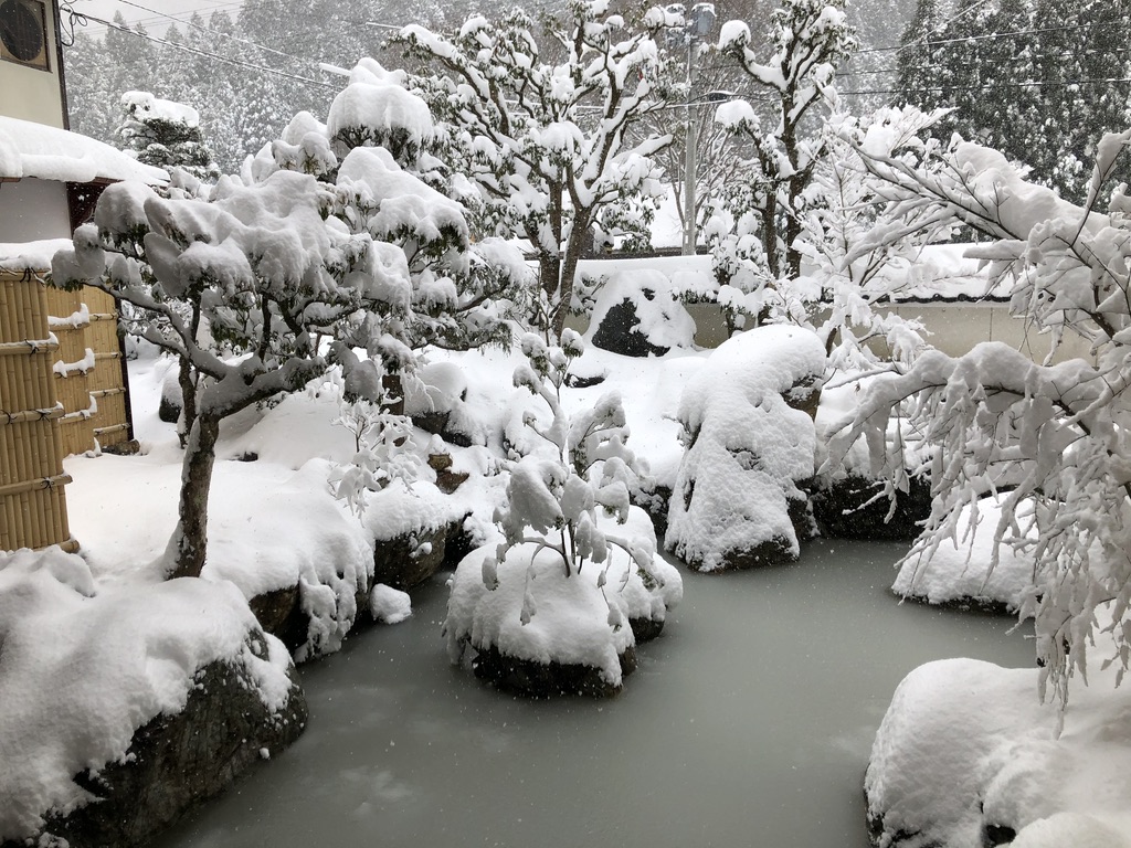 今シーズン初の積雪になりました！